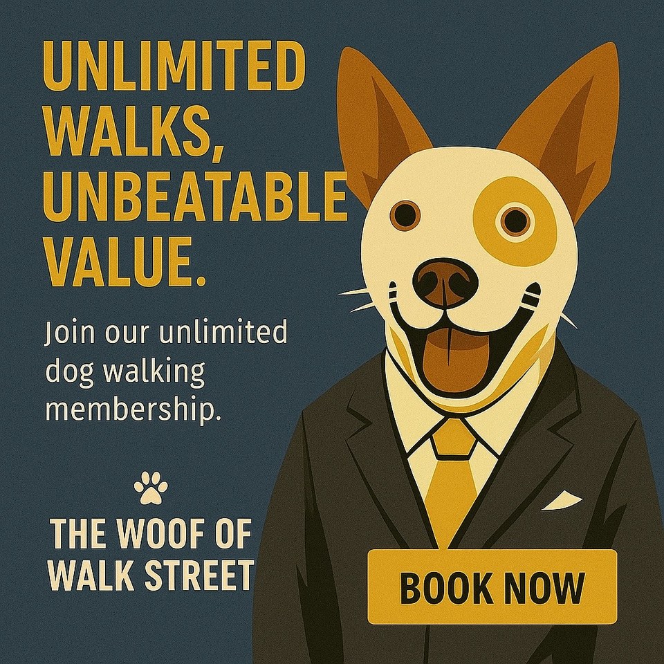 Unlimited walks, unbeatable value — The Woof of Walk Street
