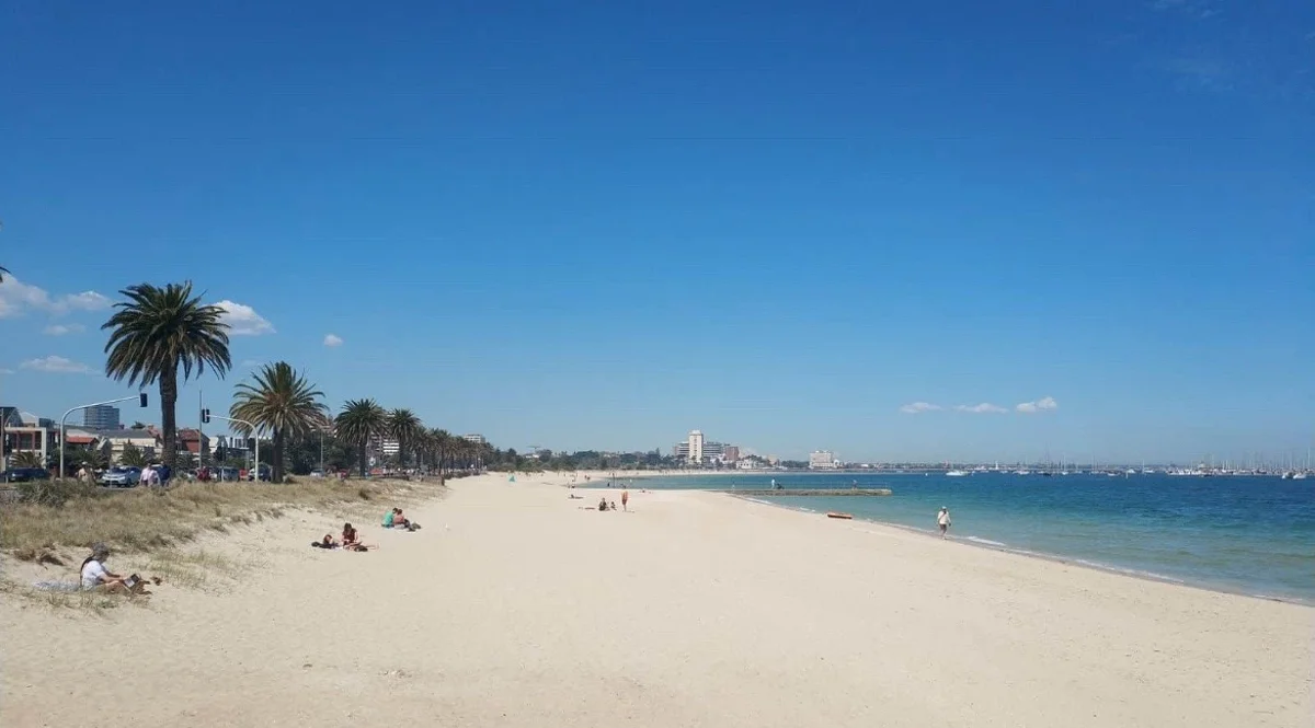 Middle Park Beach and quiet streets — steady pacing for chill pups